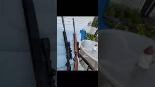 Rws 34P and Air Arms tx200