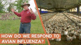 Is Avian Influenza a New Problem & How Do We Respond to It? | Joel Salatin