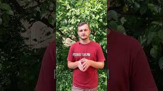 Вперед в прошлое