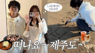 제주도 2박3일 여행 vlog | 신라호텔 FLEX 공항 맛집, 인생 카페, 흑돼지, 알파카 목장 총정리!