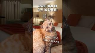 여행 전 이건 챙기세요!