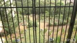 Terraced edible garden design|Vincent Landscapes|Central Texas Gardener