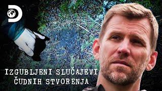 Našla sam otisak stopala! | Izgubljeni slučajevi čudnih stvorenja