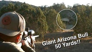 Arizona Elk Hunting - GIANT BULL DOWN!