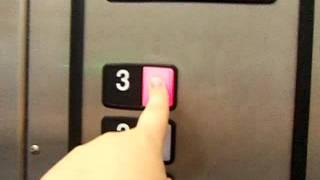 HORRIBLE Schindler Hydraluic Elevator at Building 26 at Calypso Cay Resort in Kissimmee,FL