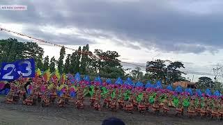 BIABAS TRADE HIGH SCHOOL || UBAY UBAY FESTIVAL