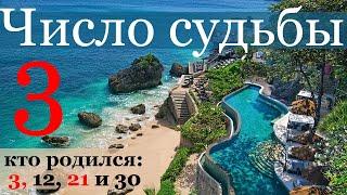 Число судьбы 3. Характер по дате рождения: 3, 12, 21 и 30 числа любого месяца. Джйотиш нумерология.