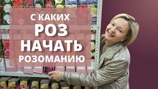 ПОСАДИТЬ И ЗАБЫТЬ! Просто, о группах роз для новичков.11 марта 2024 г.