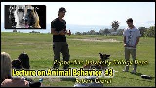 Pepperdine Lecture Clip 3 - Canine Behavior