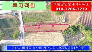 아산시 배방읍 토지
