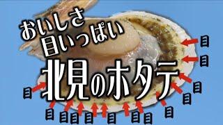 「北見　ＭＹ　ＬＯＶＥ」令和３年度「地域発デジタルコンテンツ」総務大臣奨励賞