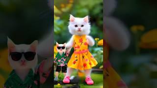 Cute Dog Dance & Cat Dance 