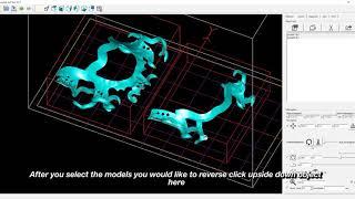 DentaFab Nesting and Support for Partial Design