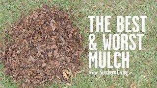 The Best and Worst Mulch for Your Garden | Southern Living