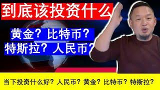 老王来了：投资观察：金条？人民币？比特币？特斯拉？（20241113）｜老王的咸猪手