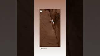 Would you jump  ?