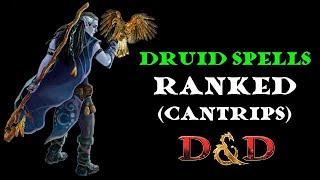 Druid spells ranked: Cantrips