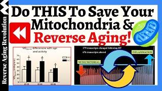 Do THIS To SAVE Your Mitochondria & REVERSE Aging - What Are The Researches Show