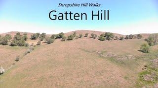 Gatten Hill  - Shropshire Hill Walks  35/130 Highest Shropshire Hills AONB