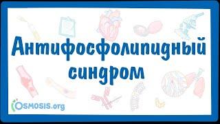 Антифосфолипидный синдром (АФС) — причины, симптомы, патогенез, диагностика, лечение