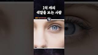 1억 개의 색깔을 구별하는 사람