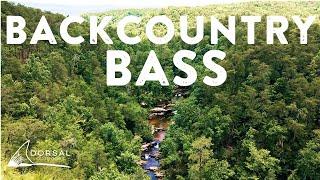 Hiking Deep into the Wilderness of Alabama to Fly Fish for Backcountry Bass: Topwater Popper Fishing