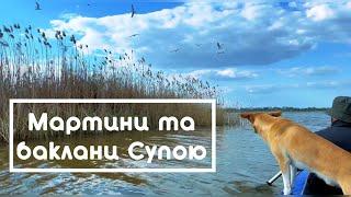 Лавромандри та Озеро Супій. Сплав водосховищами Яготина. Птахи. Бьордвочінг. Природа.