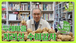 두레마을 지리산 수미감자 예약 주문을 받습니다