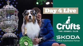 Day 4 LIVE | Crufts 2025