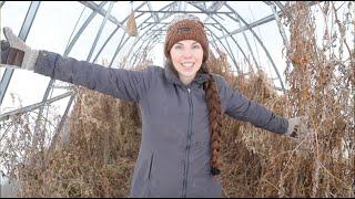 Greenhouse Cleanup: Prepping for a Thriving Growing Season!