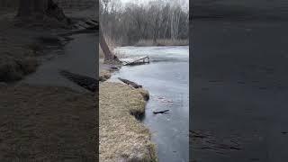Душевное место