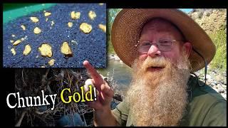 Prospector Finds Multiple Gold Pickers, in a Public Spot!