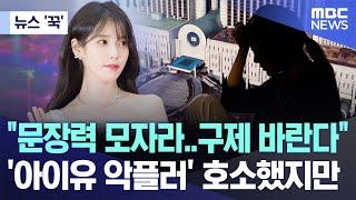 [뉴스 '꾹'] "문장력 모자라..구제 바란다" '아이유 악플러' 호소했지만 (2024.11.27/MBC뉴스)