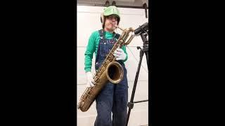 Luigi's Mansion Bari Sax Cover