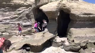 La Jolla: One Day Exploring the Coastal Town's Best Spots - San Diego  | AMI Studios Chicago