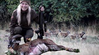 Erstes Jagdvideo! Jagd auf Muffelwild! Jagen mit Jungjägering! Erster Abschuss und dann sowas! Jagd