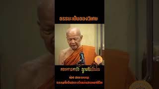 พระธรรมเป็นของวิเศษ.. หลวงตามหาบัว ญาณสัมปันโน