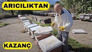 ARICILIKTAN PARA KAZANMANIN SIRLARI (Metin Hoca Anlatıyor)