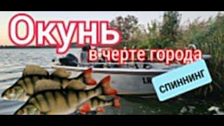 Окунь в черте города. Спиннинг 06.09.2024