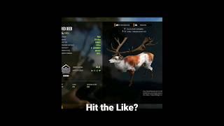 Piebald Diamond Red Deer! theHunter: Call of the Wild