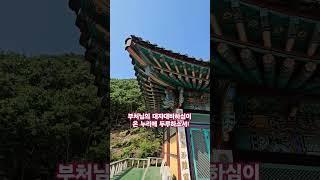 부처님의 자비히심 #부처님 #불교 #금전운 #소원성취 #건강