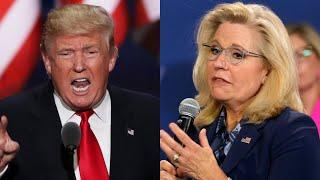 ‘I don’t care about her’: Trump labels Biden ‘ridiculous’ for considering Liz Cheney pardon