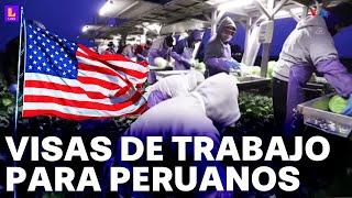 Perú accederá a visas de trabajo en Estados Unidos: ¿Qué requisitos debo cumplir?