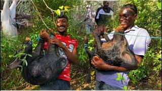 WILD BOAR hunting in Jamaica crazy adventure unknown paradise catch cook Ñ clean very Epic