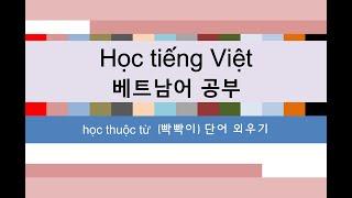 베트남어 공부 빡빡이 단어 외우기 Học tiếng Việt học thuộc từ