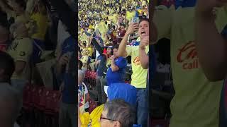 El sentimiento celeste  ¿Quién más así? #viral #futbol #fyp #america #cruzazul #final