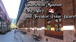 Charleston South Carolina | Downtown Trip #1 Charleston Museum,  Visitors Center, The Alley