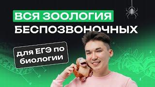 ВСЯ ЗООЛОГИЯ БЕСПОЗВОНОЧНЫХ ДЛЯ ЕГЭ ПО БИОЛОГИИ | NeoFamily