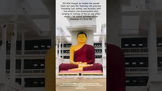 The Dhammapada : The Buddha’s Path of Wisdom #ytshorts #youtubeshorts #motivation #life #live #love