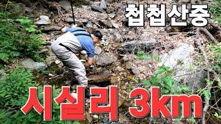 산딸기가 익어가는 첩첩산중 산골짜기 계곡에는 과연 "물고기"가 살고 있을까?